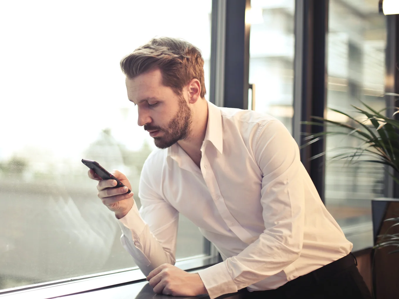 Signs of Life - image 1