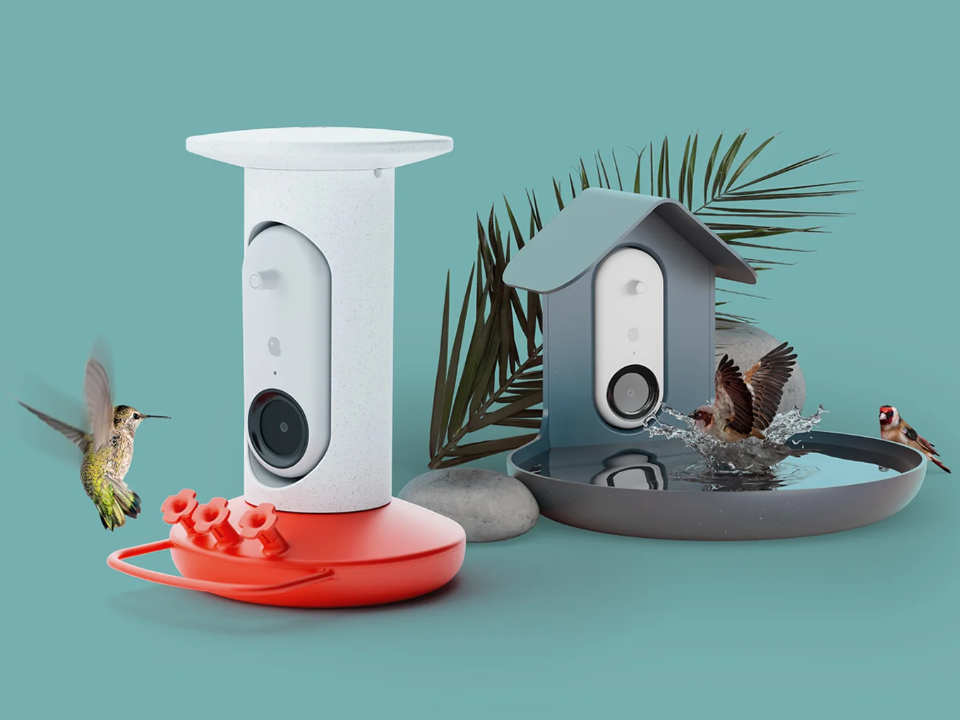 Bird Buddy: Summer of Birding - image 1