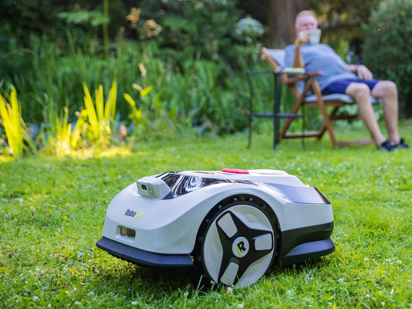 Raccoon 2 SE - image 1